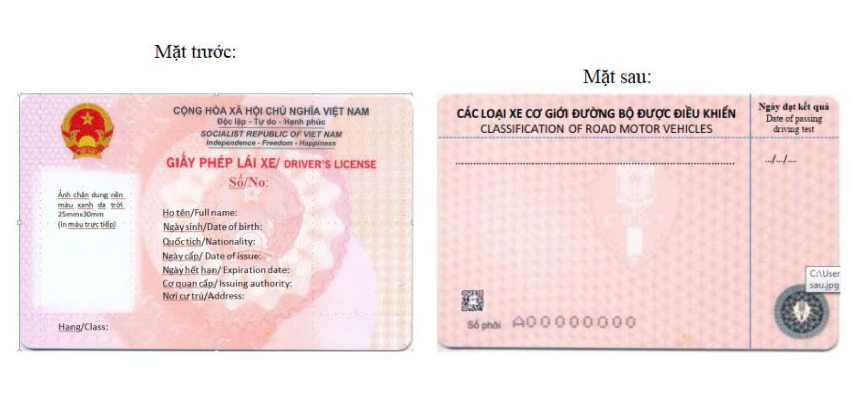 Chi tiết các thông tin hiển thị trên mẫu giấy phép lái xe mới nhất