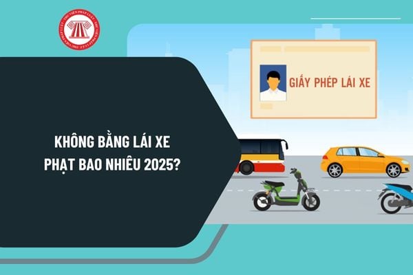 Mức phạt lỗi không mang giấy phép lái xe theo Nghị định 168